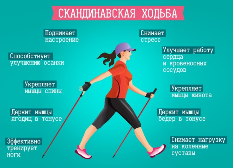 Виды испытаний ГТО. Скандинавская ходьба. Виды испытаний ГТО. Скандинавская ходьба.
