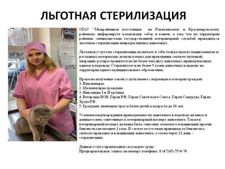 Информация для владельцев собак и кошек. Информация для владельцев собак и кошек.