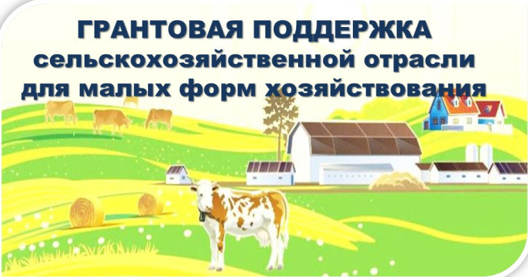 Государственная поддержка. Государственная поддержка.